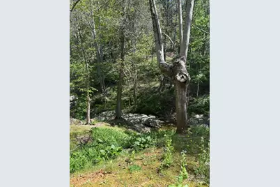 324 Marble Mine Road, Bakersville, NC 28705 - Photo 32