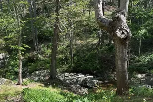 324 Marble Mine Rd, Bakersville, NC 28705 - Photo 32