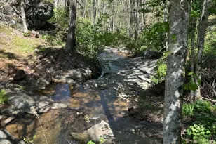 324 Marble Mine Rd, Bakersville, NC 28705 - Photo 36