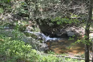 324 Marble Mine Rd, Bakersville, NC 28705 - Photo 42