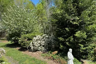 324 Marble Mine Rd, Bakersville, NC 28705 - Photo 28