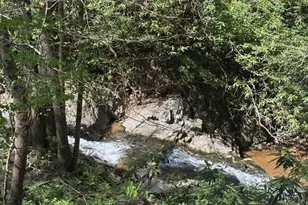 324 Marble Mine Rd, Bakersville, NC 28705 - Photo 46