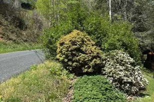 324 Marble Mine Rd, Bakersville, NC 28705 - Photo 24