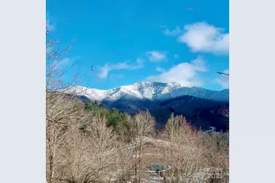 38 Buchanan Hill Road, Bakersville, NC 28705 - Photo 4