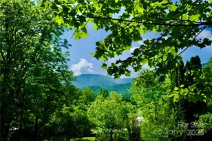 38 Buchanan Hill Rd, Bakersville, NC 28705 - Photo 2