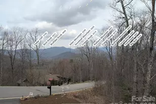 159 Settings Blvd, Black Mountain, NC 28711 - Photo 44