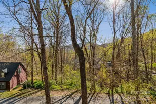 12 Hutchinson Woods Dr, Fletcher, NC 28732 - Photo 4