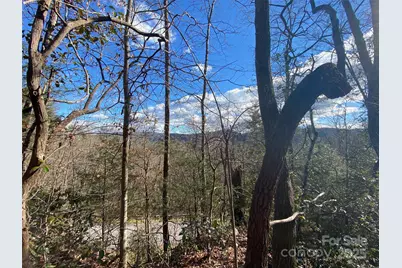 999 High Point Trail, Brevard, NC 28712 - Photo 4