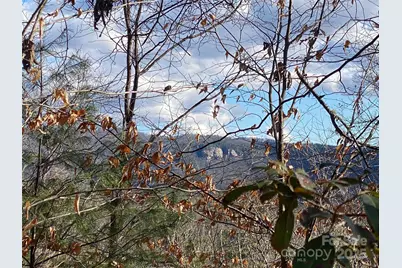 999 High Point Trail, Brevard, NC 28712 - Photo 1