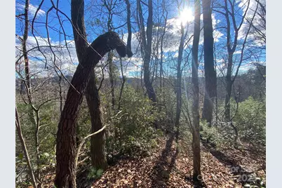 999 High Point Trail, Brevard, NC 28712 - Photo 8