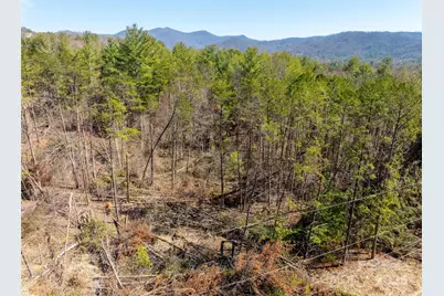 85 Union Chapel Road, Weaverville, NC 28787 - Photo 20