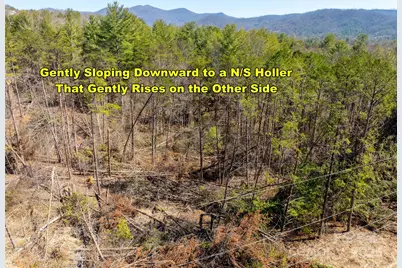 85 Union Chapel Road, Weaverville, NC 28787 - Photo 12