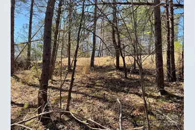 85 Union Chapel Road, Weaverville, NC 28787 - Photo 24