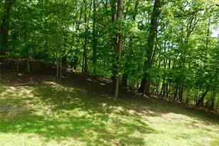 1064 Skye Dr, Pisgah Forest, NC 28768 - Photo 20