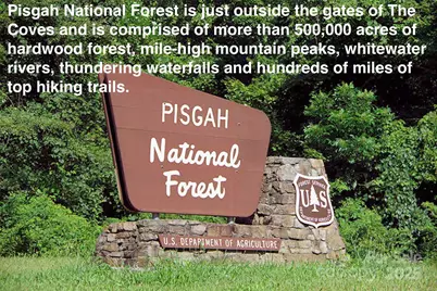 2013 Hitching Post Trail, Lenoir, NC 28645 - Photo 46