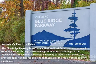 2013 Hitching Post Trail, Lenoir, NC 28645 - Photo 46