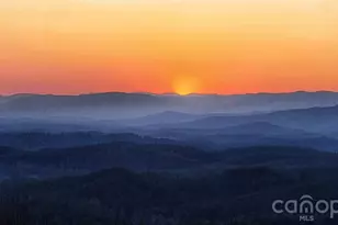 2013 Hitching Post Trl, Lenoir, NC 28645 - Photo 44