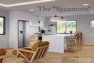 35 Leap Frog Park, Waynesville, NC 28786 - Photo 2