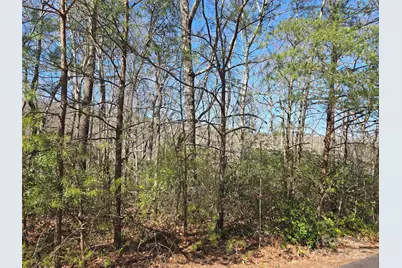 Lot 39 Flynn Court, Lake Lure, NC 28746 - Photo 2