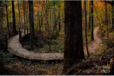 Lot 39 Flynn Court, Lake Lure, NC 28746 - Photo 14