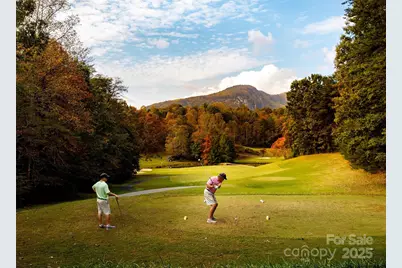 Lot 39 Flynn Court, Lake Lure, NC 28746 - Photo 10