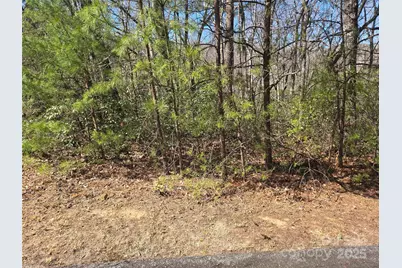 Lot 39 Flynn Court, Lake Lure, NC 28746 - Photo 1