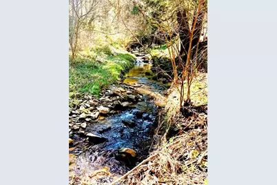 492 Paint Fork Road, Barnardsville, NC 28709 - Photo 42