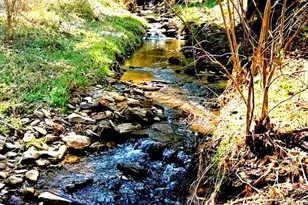 492 Paint Fork Rd, Barnardsville, NC 28709 - Photo 42