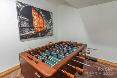 351 Chickadee Avenue, Lake Lure, NC 28746 - Photo 22