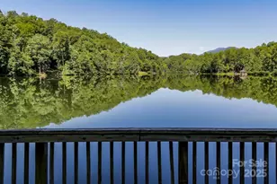 351 Chickadee Ave, Lake Lure, NC 28746 - Photo 40