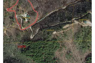 2150 Shell Stand Rd, Almond, NC 28702 - Photo 44