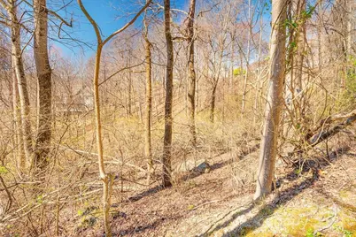 461 Somersby Parkway, Hendersonville, NC 28739 - Photo 4