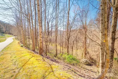 461 Somersby Parkway, Hendersonville, NC 28739 - Photo 2