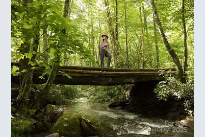 Lt 262 Tote Road #262, Sylva, NC 28779 - Photo 16