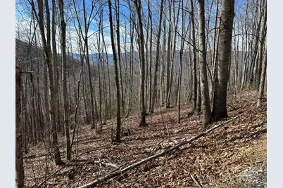 Lt 262 Tote Road #262, Sylva, NC 28779 - Photo 1
