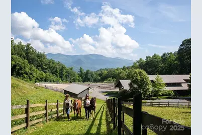 Lt 262 Tote Road #262, Sylva, NC 28779 - Photo 10