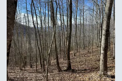 Lt 262 Tote Road #262, Sylva, NC 28779 - Photo 2