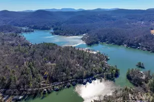 288 Hawks Point Dr, Zirconia, NC 28790 - Photo 48