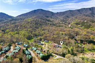 2 Llama Vista Ct, Black Mountain, NC 28711 - Photo 44