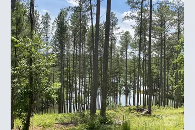 000 Scenic Lane #207, Granite Falls, NC 28630 - Photo 6