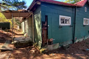 28 Plemmons St, Canton, NC 28716 - Photo 18