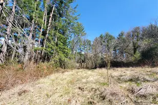 28 Plemmons St, Canton, NC 28716 - Photo 26