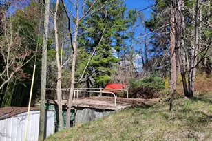 28 Plemmons St, Canton, NC 28716 - Photo 24