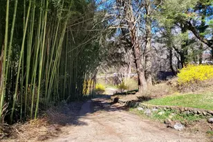 28 Plemmons St, Canton, NC 28716 - Photo 2