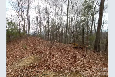 5 Sigogglin Trail, Waynesville, NC 28785 - Photo 4