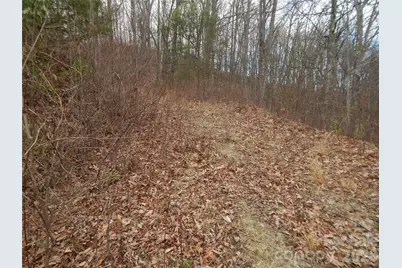 5 Sigogglin Trail, Waynesville, NC 28785 - Photo 14