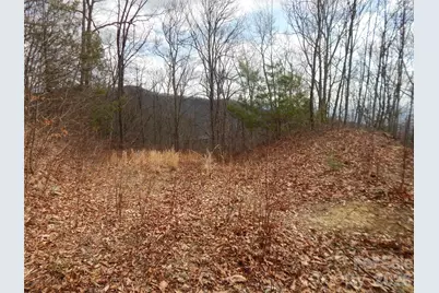 5 Sigogglin Trail, Waynesville, NC 28785 - Photo 1
