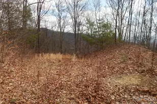 5 Sigogglin Trail, Waynesville, NC 28785 - Photo 1