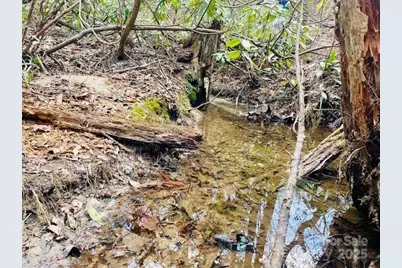 Tbd White Rock Road #1, Lenoir, NC 28645 - Photo 10