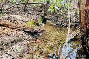 Tbd White Rock Rd, Lenoir, NC 28645 - Photo 10